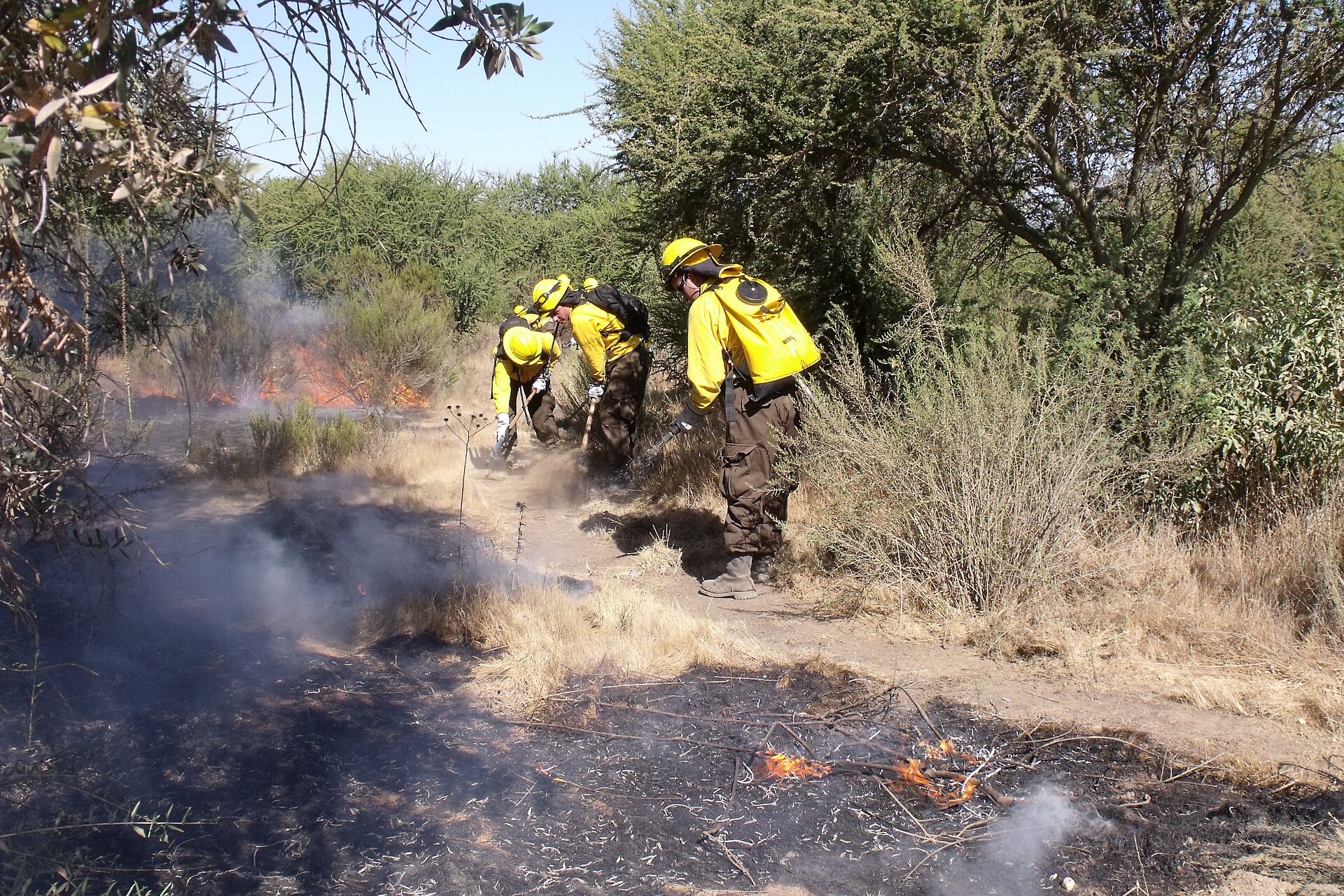 Chile – Fuel break construction